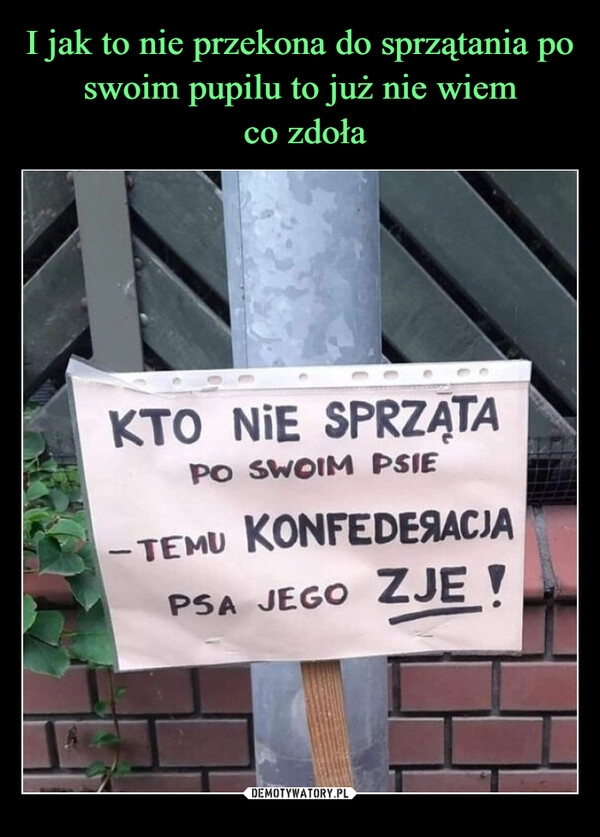 
    I jak to nie przekona do sprzątania po swoim pupilu to już nie wiem
 co zdoła