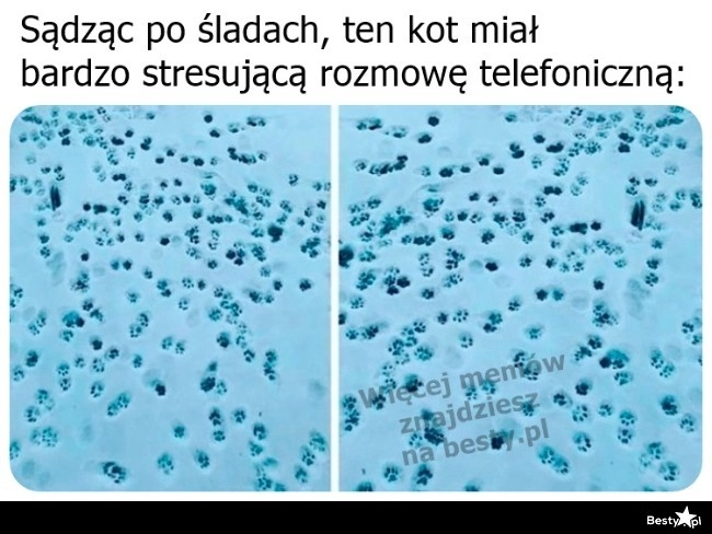 
    Na to wygląda 