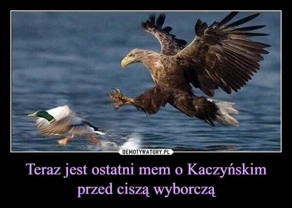 
    Teraz jest ostatni mem o Kaczyńskim przed ciszą wyborczą