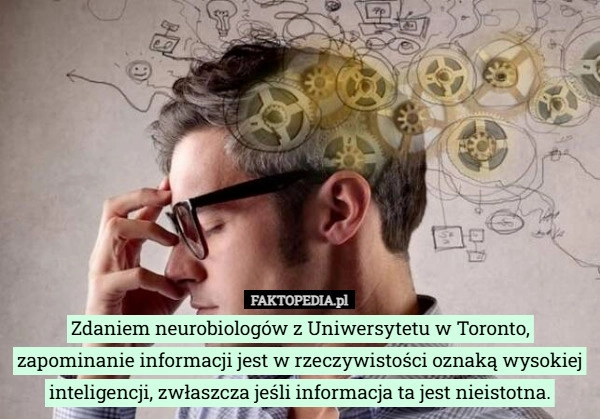 
    Zdaniem neurobiologów z Uniwersytetu w Toronto, zapominanie informacji jest