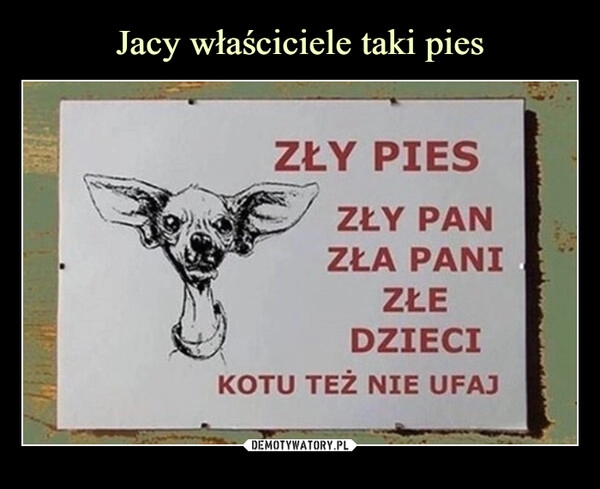 
    Jacy właściciele taki pies