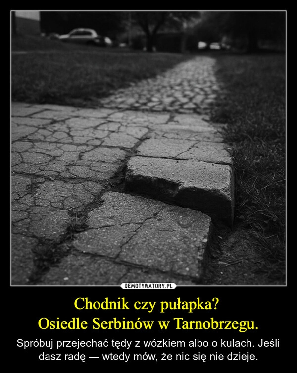 
    Chodnik czy pułapka? 
Osiedle Serbinów w Tarnobrzegu.