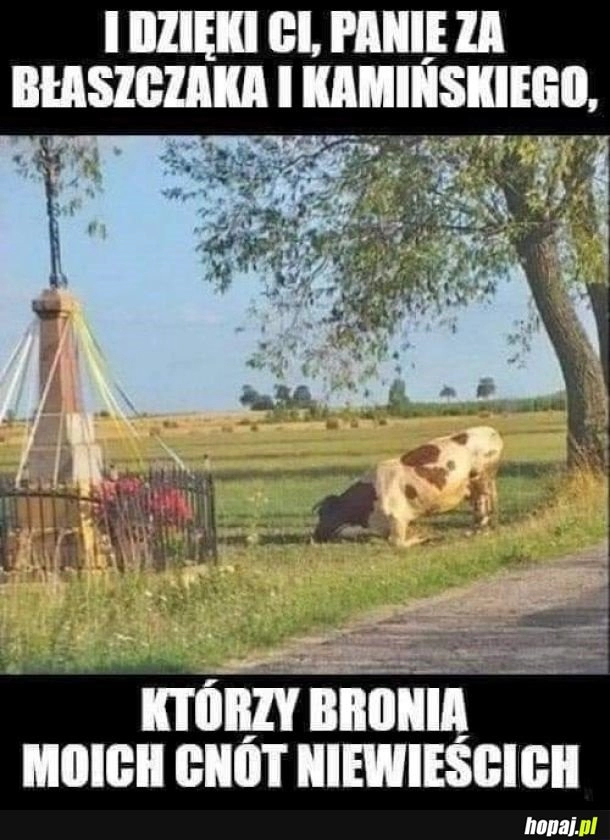 
    Wdzięczna trzoda