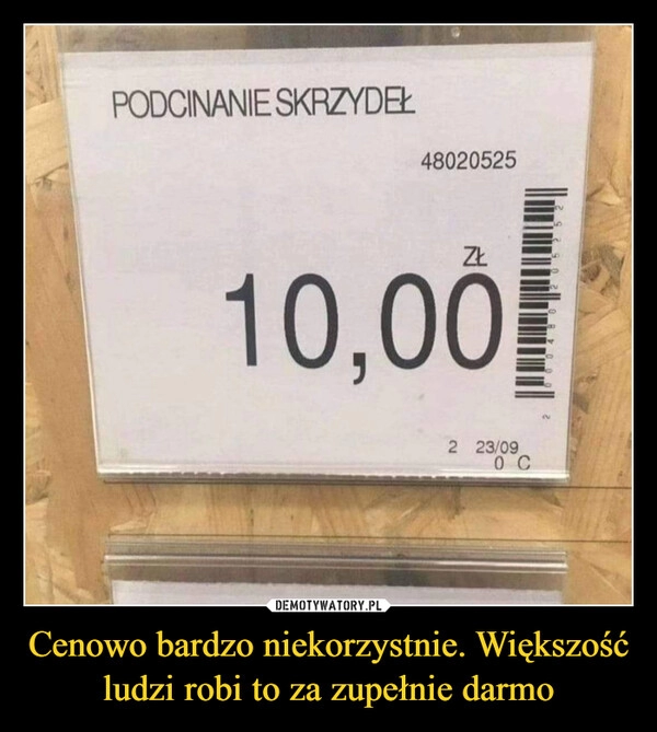 
    Cenowo bardzo niekorzystnie. Większość ludzi robi to za zupełnie darmo