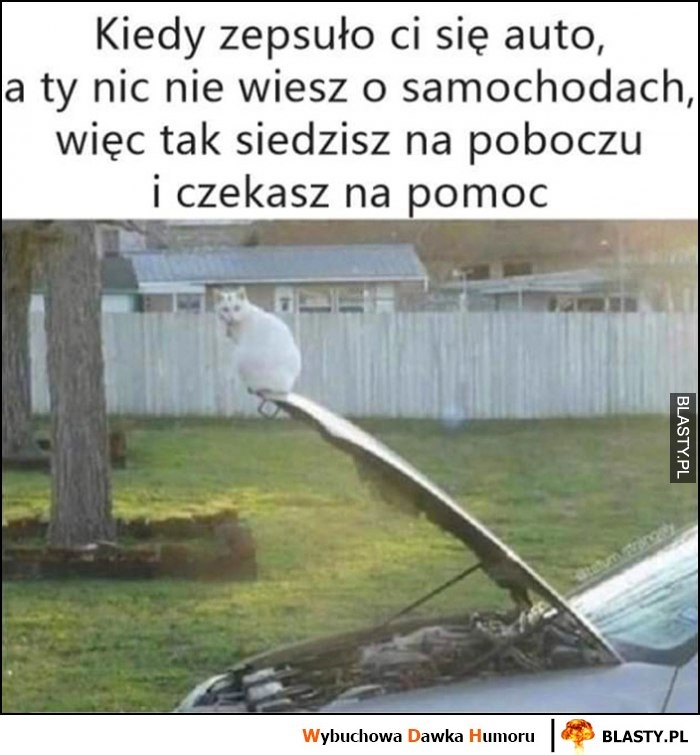 
    Kot kiedy zepsuło ci się auto, a ty nic nie wiesz o samochodach, więc tak siedzisz na poboczu i czekasz na pomoc