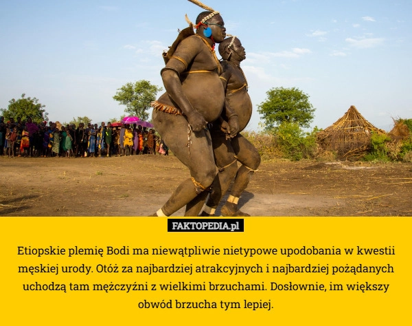 
    Etiopskie plemię Bodi ma niewątpliwie nietypowe upodobania w kwestii męskiej