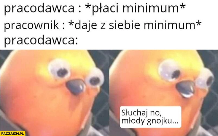 
    Pracodawca płaci minimum, pracownik daje z siebie minimum, pracodawca: słuchaj no młody gnojku