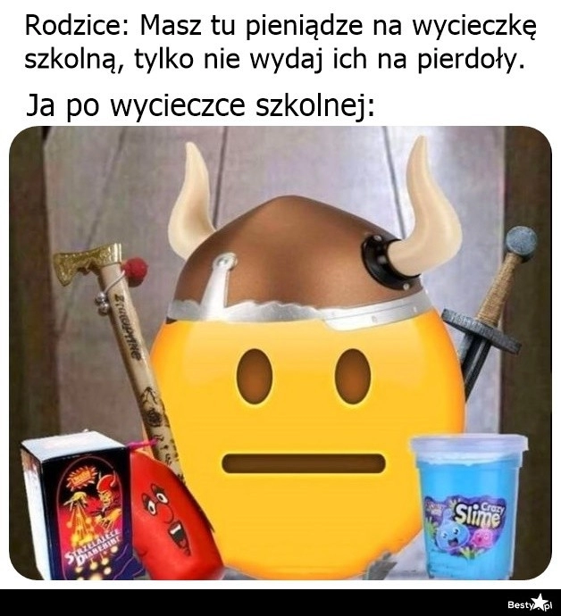 
    Pamiątki z wycieczki szkolnej 