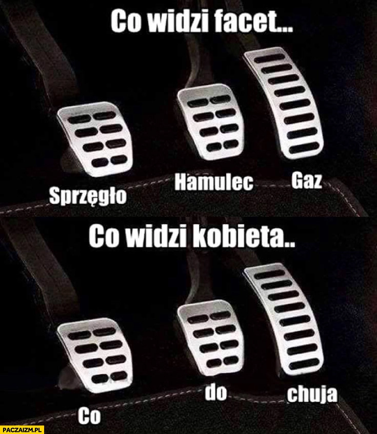 
    Co widzi facet: sprzęgło, hamulec, gaz. Co widzi kobieta: co, do, cholery?