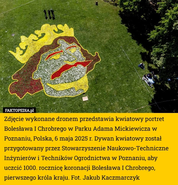 
    Zdjęcie wykonane dronem przedstawia kwiatowy portret Bolesława I Chrobrego...