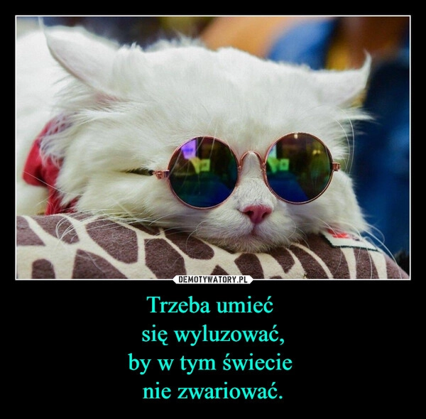 
    Trzeba umieć 
się wyluzować,
by w tym świecie 
nie zwariować.