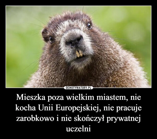 
    Mieszka poza wielkim miastem, nie kocha Unii Europejskiej, nie pracuje zarobkowo i nie skończył prywatnej uczelni