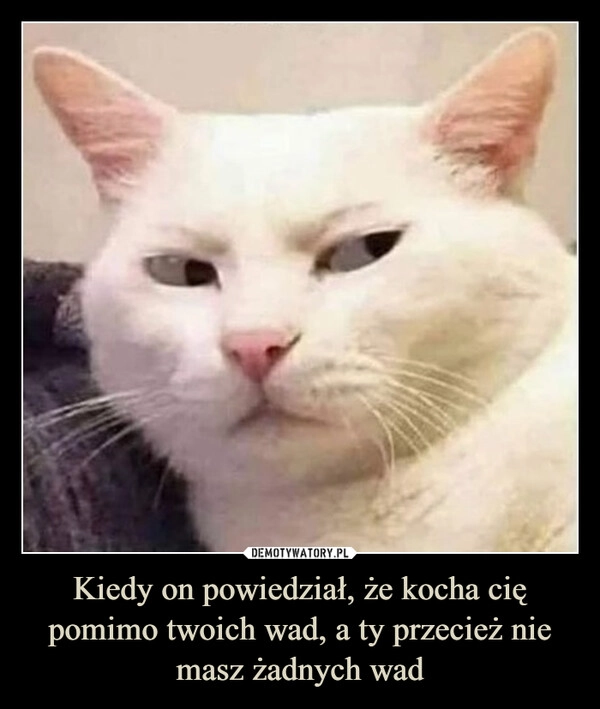 
    Kiedy on powiedział, że kocha cię pomimo twoich wad, a ty przecież nie masz żadnych wad