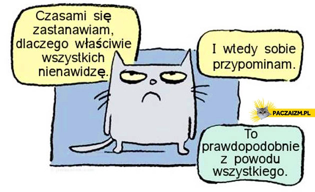 
    Nienawidzę wszystkich