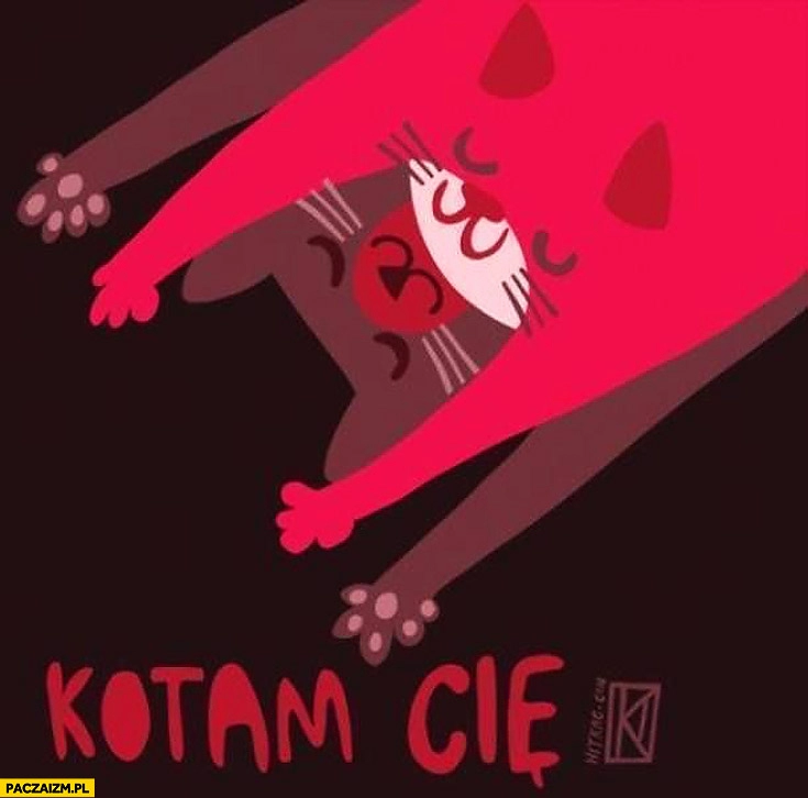 
    Kotam Cię