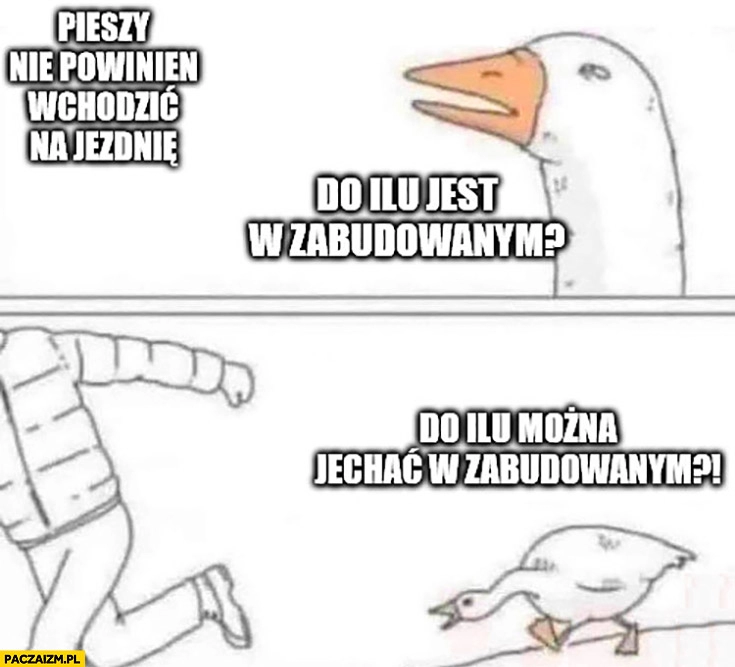 
    Pieszy nie powinien wchodzić na jezdnię gęś do ilu można jechać w zabudowanym?