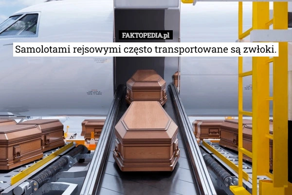 
    Samolotami rejsowymi często transportowane są zwłoki.