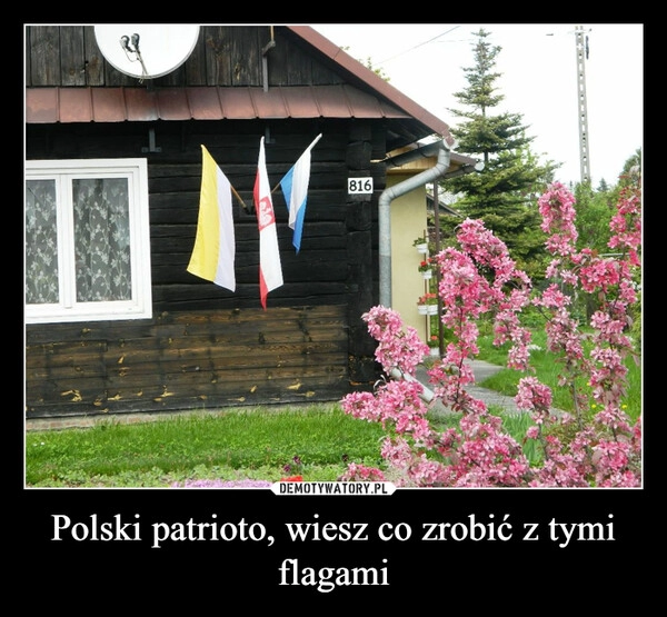 
    Polski patrioto, wiesz co zrobić z tymi flagami