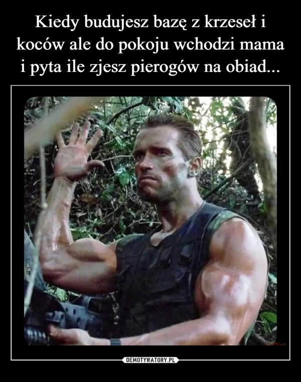 
    Kiedy budujesz bazę z krzeseł i koców ale do pokoju wchodzi mama i pyta ile zjesz pierogów na obiad...