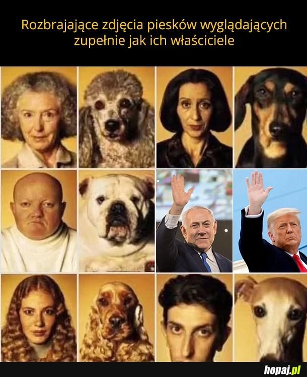 
    Aww urocze