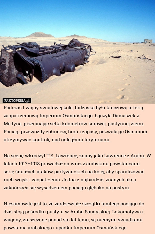 
    Podczas I wojny światowej kolej hidżaska była kluczową arterią zaopatrzeniową