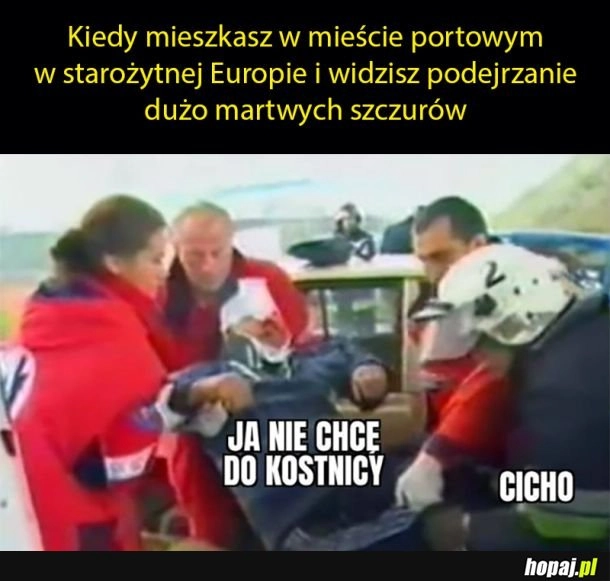 
    Kiepsko