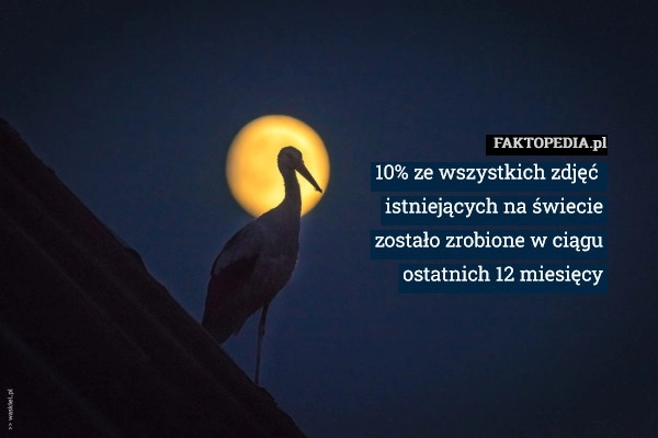 
    10% ze wszystkich zdjęć 
istniejących na świecie
zostało zrobione w ciągu