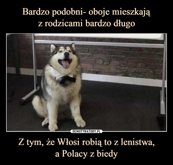 
    Bardzo podobni- oboje mieszkają
z rodzicami bardzo długo Z tym, że Włosi robią to z lenistwa,
a Polacy z biedy