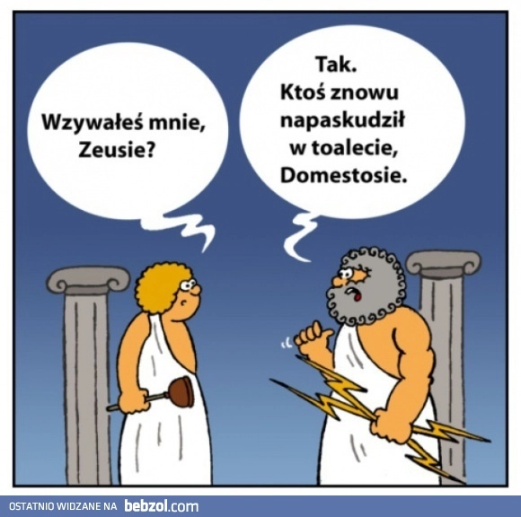 
    Domestos