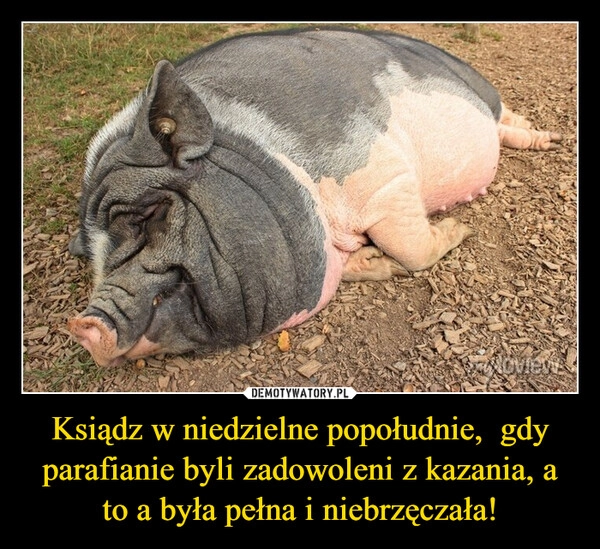 
    Ksiądz w niedzielne popołudnie,  gdy parafianie byli zadowoleni z kazania, a to a była pełna i niebrzęczała!