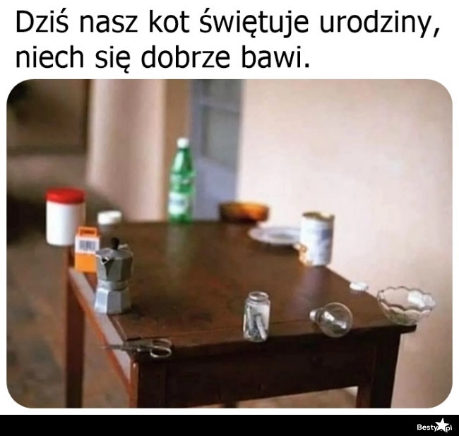 
    Niech się dobrze bawi 