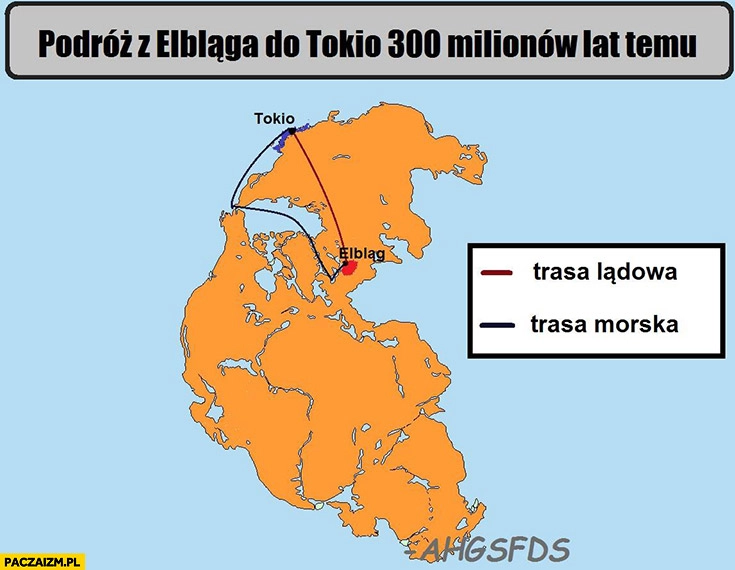 
    Podróż z Elbląga do Tokio 300 milionów lat temu trasa lądowa, trasa morska