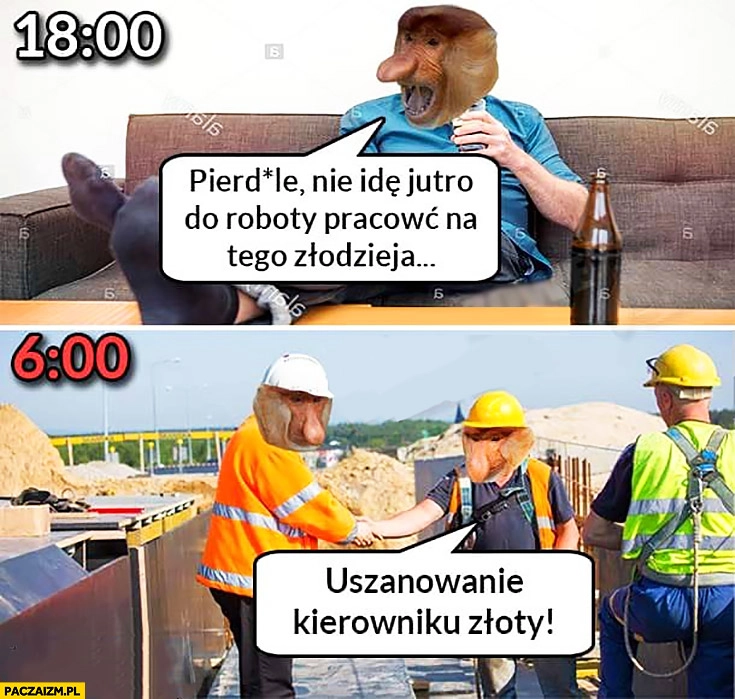 
    Pierdziele nie idę jutro do roboty pracować na tego złodzieja. Następnego dnia rano: uszanowanie kierowniku złoty. Typowy Polak nosacz małpa