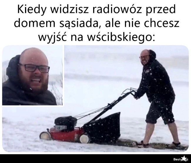 
    Ja tu tylko koszę 