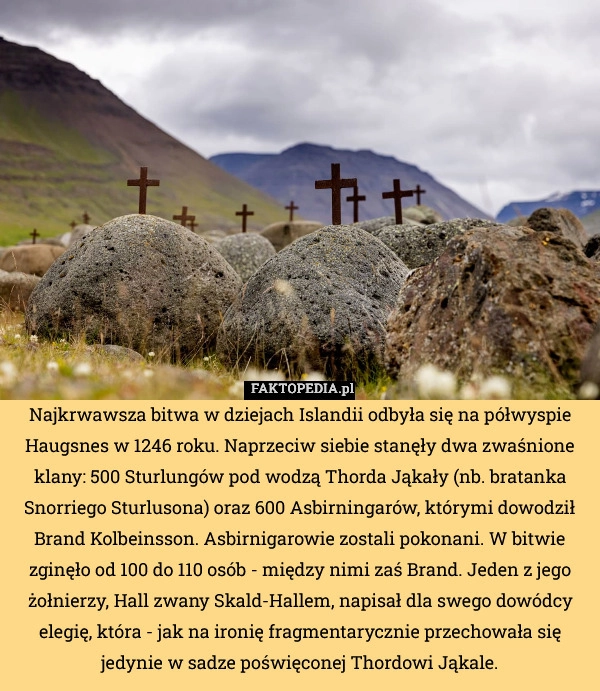 
    Najkrwawsza bitwa w dziejach Islandii odbyła się na półwyspie Haugsnes w