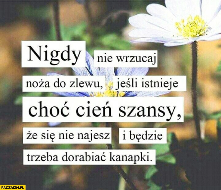 
    Nigdy nie wrzucaj noża do zlewu jeśli istnieje choć cień szansy, że się nie najesz i będzie trzeba dorabiać kanapki