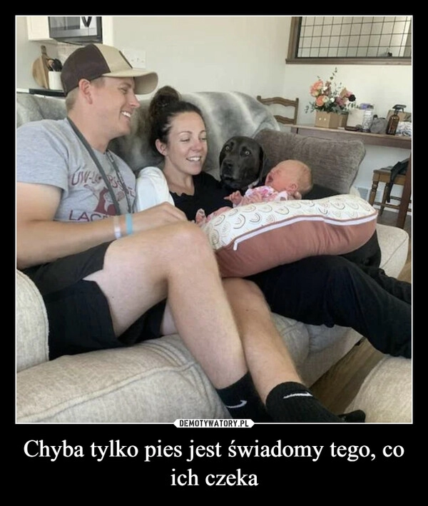 
    Chyba tylko pies jest świadomy 
tego, co ich czeka