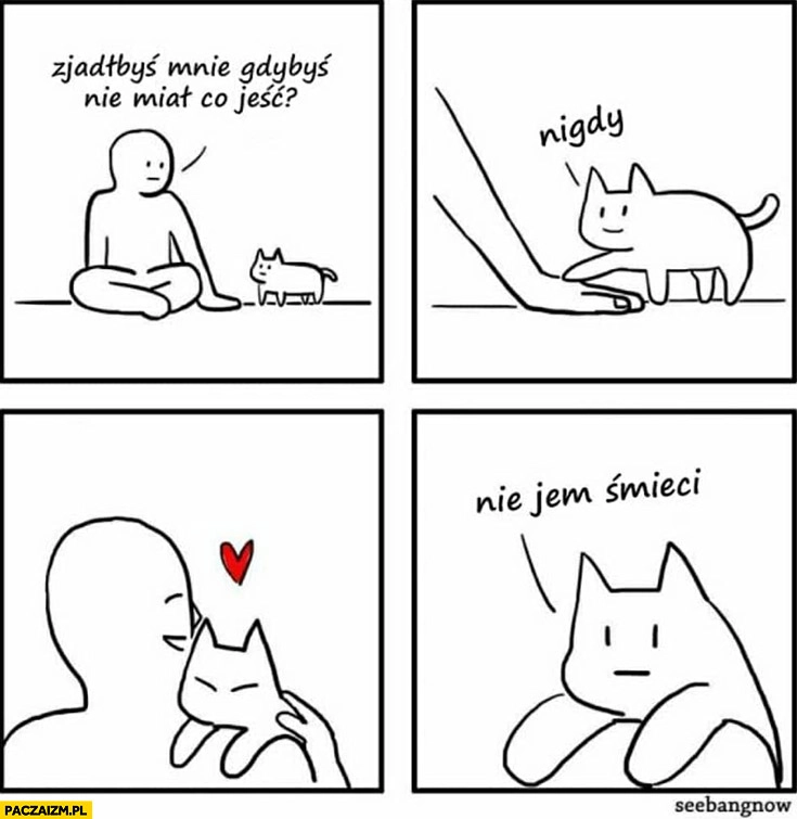 
    Kot zjadłbyś mnie gdybyś nie miał co jeść? Nigdy, nie jem śmieci