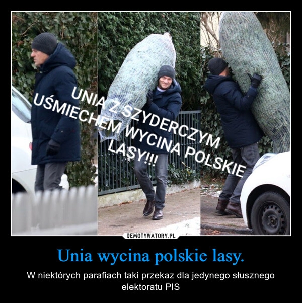 
    Unia wycina polskie lasy.