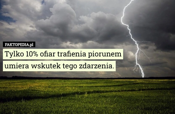 
    Tylko 10% ofiar trafienia piorunem
umiera wskutek tego zdarzenia.
