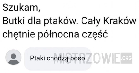 
    Szukam