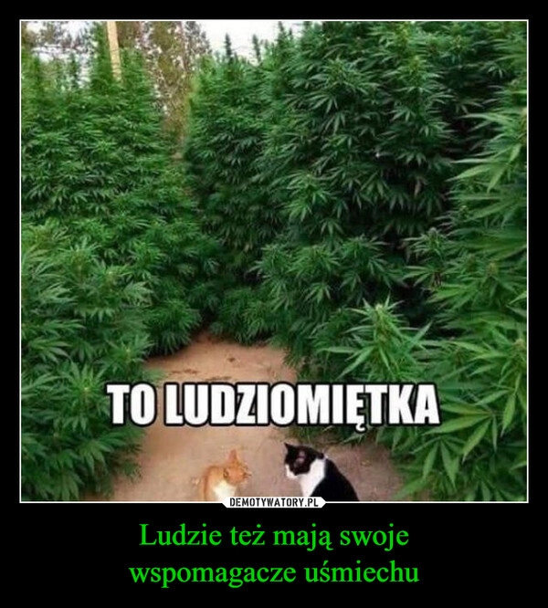 
    Ludzie też mają swoje
wspomagacze uśmiechu