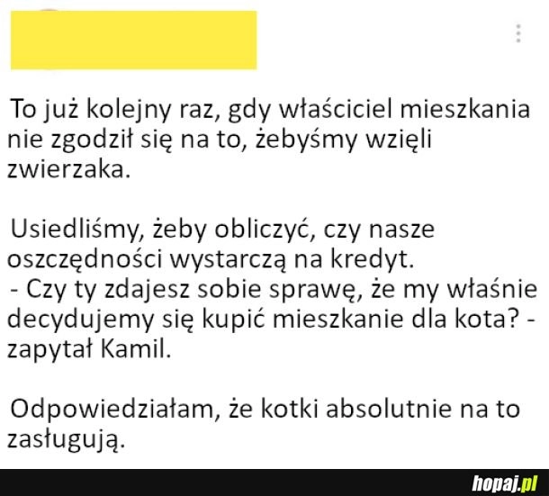 
    Mieszkanie dla kitku