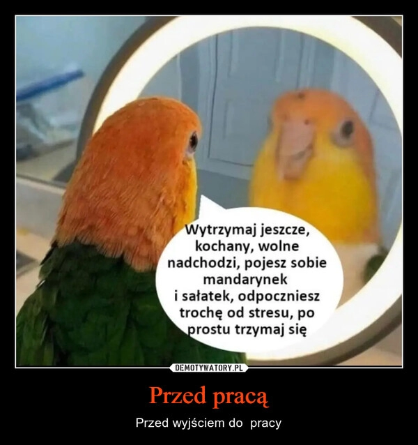 
    Przed pracą