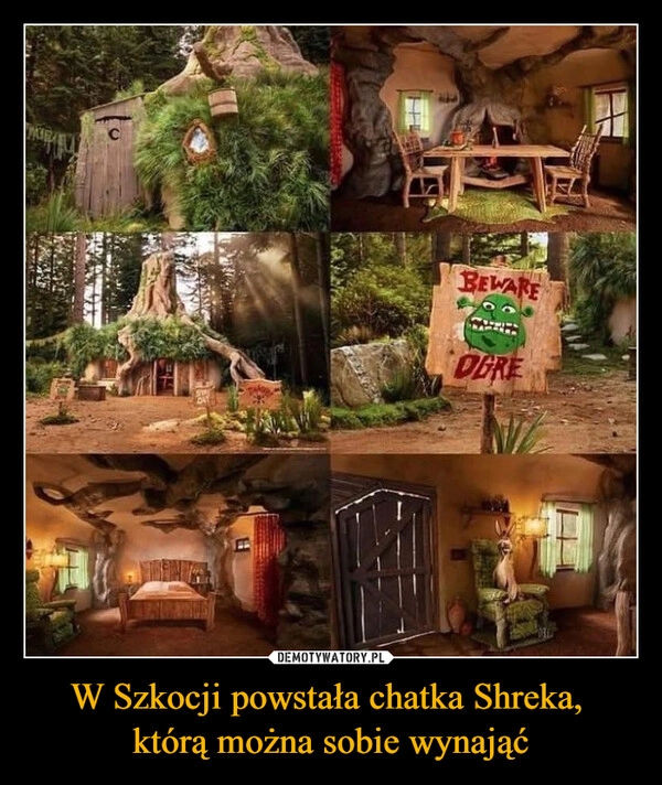 
    W Szkocji powstała chatka Shreka, 
którą można sobie wynająć
