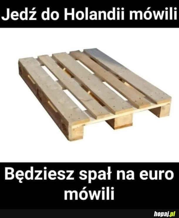 
    I mieli racje