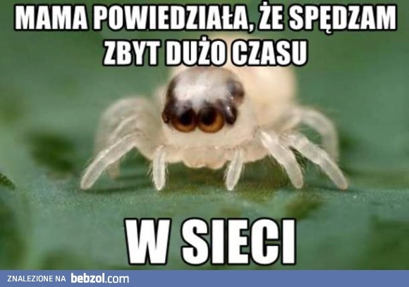 
    Mama powiedziała