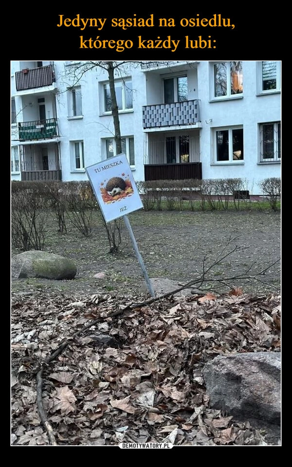 
    Jedyny sąsiad na osiedlu,
 którego każdy lubi: