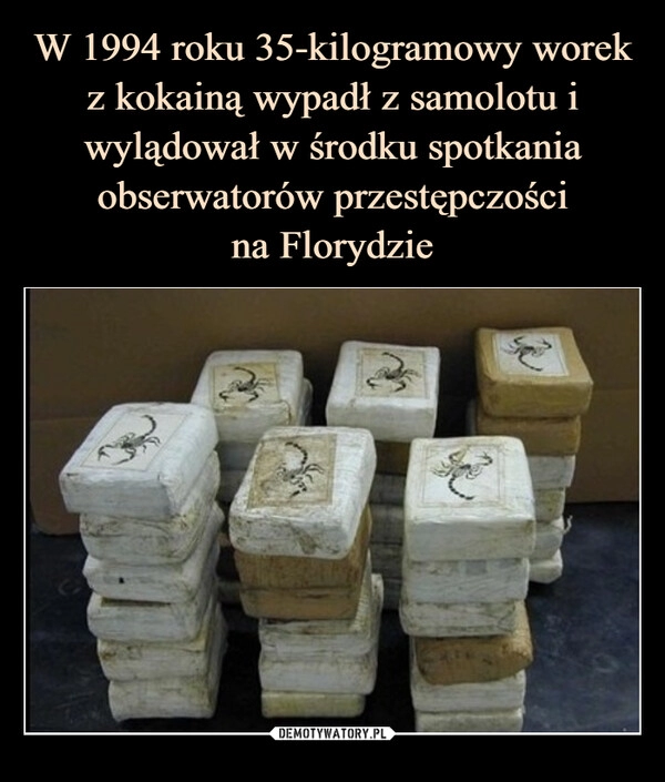 
    W 1994 roku 35-kilogramowy worek z kokainą wypadł z samolotu i wylądował w środku spotkania obserwatorów przestępczości
na Florydzie