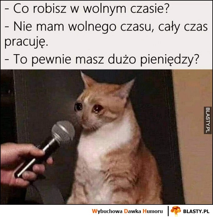 
    Kot co robisz w wolnym czasie? Nie mam wolnego czasu, cały czas pracuję to pewnie masz dużo pieniędzy? Płacze